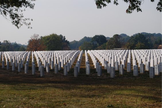 Rows of white gravestones in a cemetery under a hazy sky, with trees in the background