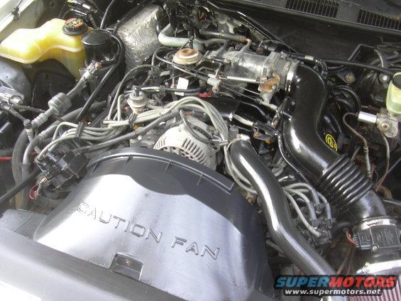 Engine bay of a 1997 Ford Crown Victoria, showing the V8 engine, alternator, and fan shroud with 'CAUTION FAN' text
