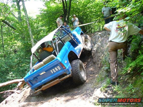 misc19.jpg Hawk on ledge