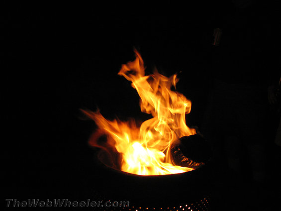 img_0864.jpg 