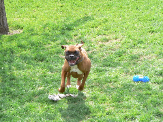 kitanarun.jpg Kitana running.