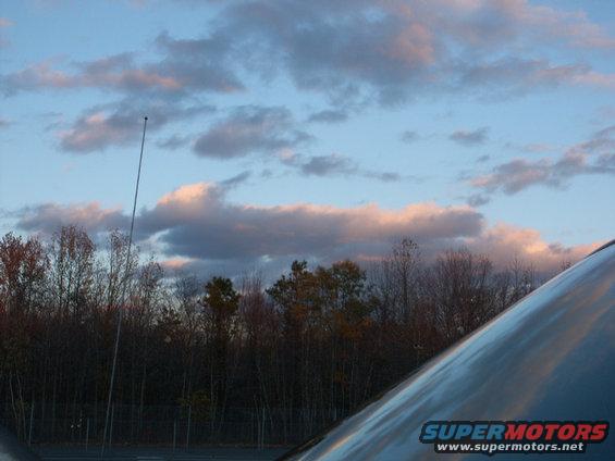 pict0233.jpg 