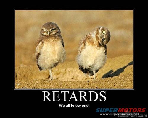 Two owls standing on dirt ground, one looking forward, the other tilting its head. Text below reads 'RETARDS We all know one.'