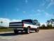 1995 Ford F-150 - This two-tone Ford truck is seen from the rear, parked on a paved surface with trees in the background.