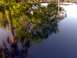 1995 Ford F-150 - The glossy surface of the vehicle reflects the surrounding trees and sky.