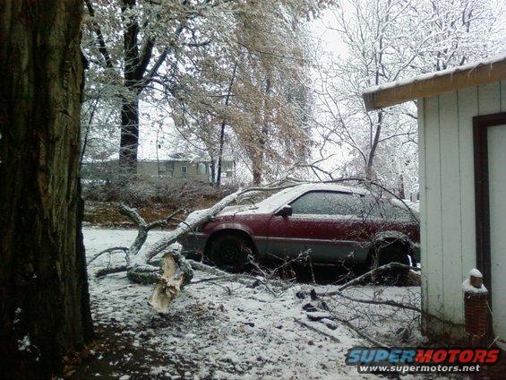 photo0030.jpg Woke up the day before we were leaving for Thanksgiving to find this. We up until 2 weeks ago we would park the Jeep (much nicer and more expensive than the CRX) directly under the trunk where the largest part of the branch hit.