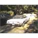 1968 Ford Mustang - Rear view of a 1968 Ford Mustang convertible parked under trees. A dark pickup truck is to its left.