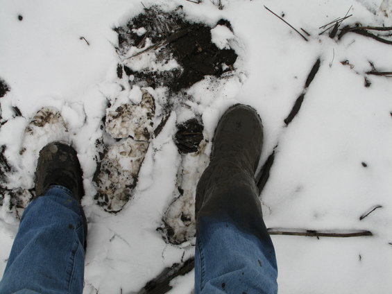 Muddy boot prints and shoe prints in the snow