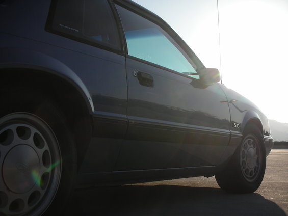 Dark blue 1990 Ford Mustang coupe, side view, sun glare on window
