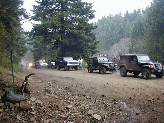Lining up to go into the powerlines...