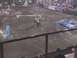 1984 Ford Bronco - A monster truck is captured mid-air during a performance in an indoor arena.