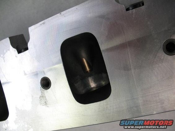 103_0382.jpg Blue Oval Performance intake BT