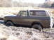 1979 Ford Bronco - This 1978 Ford Bronco is stuck deep in the mud and dry vegetation.
