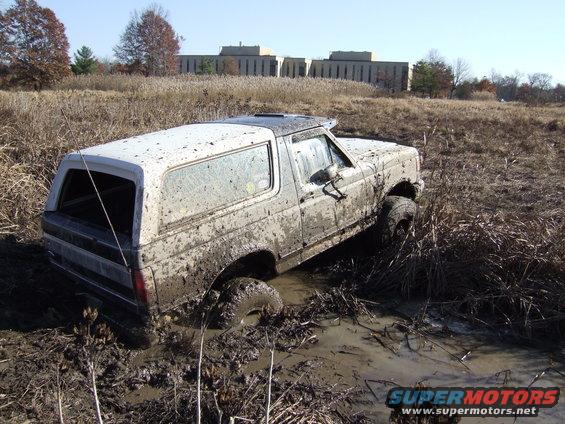 1979 Ford Bronco stuck in mud and reeds, front passenger side wheel deep in muck