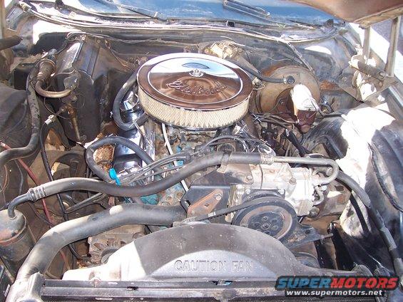 Engine bay with chrome air cleaner, fan shroud reads 'CAUTION FAN'