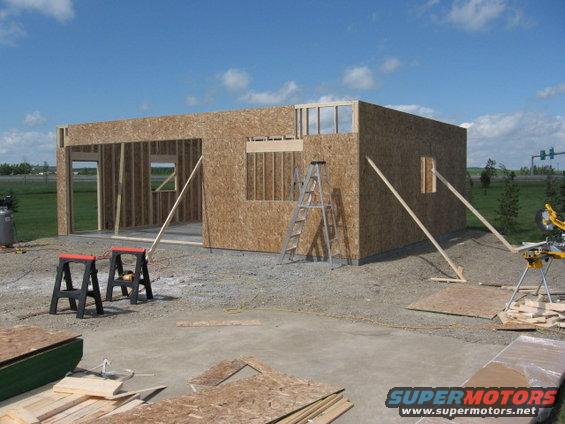 img_0206.jpg walls 1