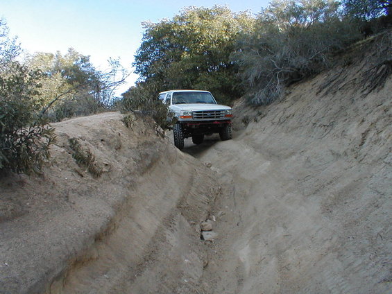 White Ford Bronco driving down a steep, rutted dirt trail with dry brush and trees on either side