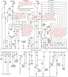 1988 Ford Bronco - Things to look at if your fuel pump does not seem to be coming on.