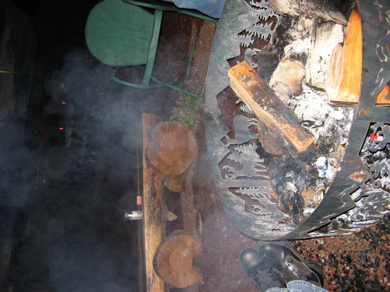 Fire pit with logs and smoke. Metal sides have cutouts of trees and animals