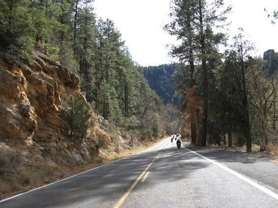 Motorcycles riding on a paved road through a forested mountain area