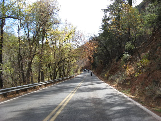 Motorcycles on a tree-lined road with autumn foliage