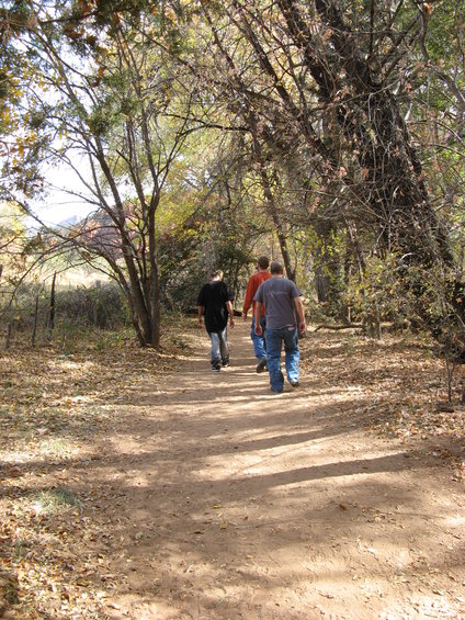 Three people walking away on a dirt path in a forest during autumn