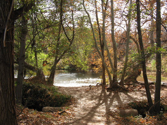 River flowing through trees with autumn foliage, sunlight dappling the path