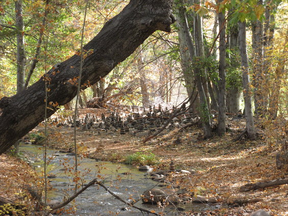 rock cairns stacked along a forest stream bed with fallen leaves