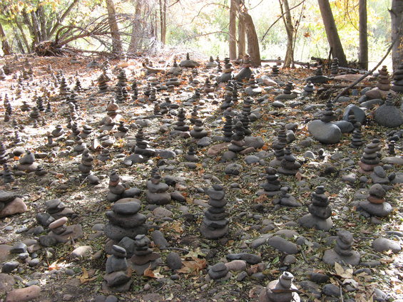 Stacked rocks in a forest clearing with dappled sunlight