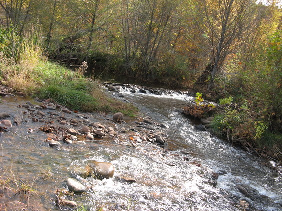 Rocky stream flowing through autumn foliage