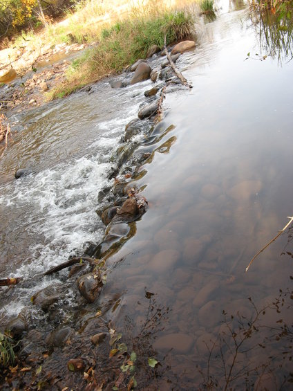 River flowing over rocks with fallen leaves on the bank