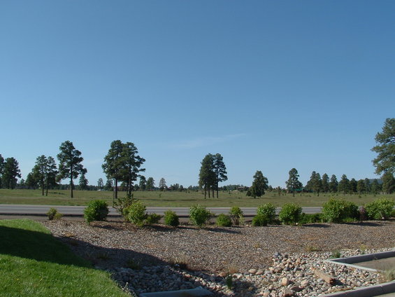 Wide shot of a grassy area with gravel landscaping, bushes, and a road in the distance under a clear blue sky