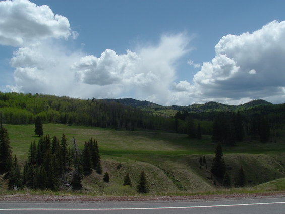dscf0110.jpg 