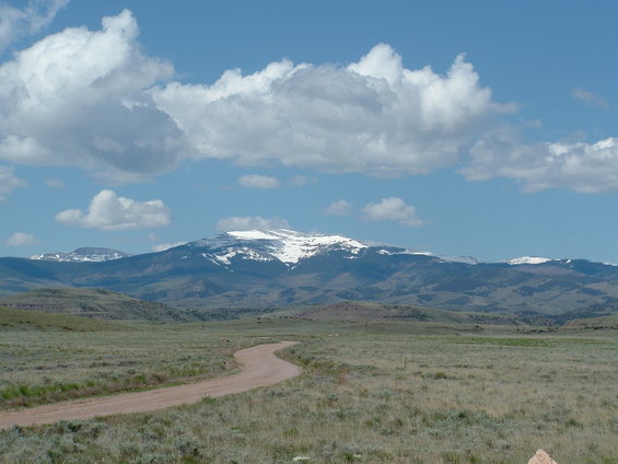 pc016.jpg 