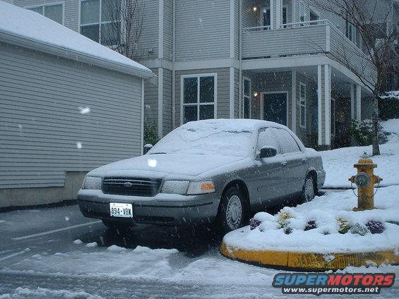 Front view of a snow-covered 2000 Ford Crown Victoria with a license plate reading 894-VBN
