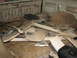 1982 Ford Bronco - Left over dash and interior parts