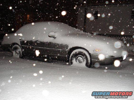 vic-under-snow.jpg Winter Again!