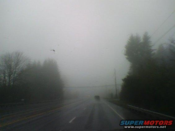 Driving on a wet road through heavy fog with trees on the side and a car in the distance