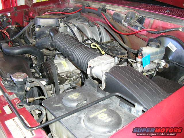 engine bay with hoses, belts, and fluids visible