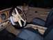 1984 Ford Bronco II - The interior of a Ford Bronco II shows its dashboard, steering wheel, and front seats.
