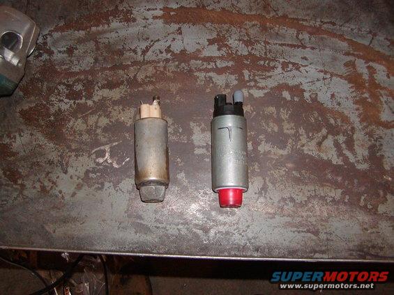fuel-pump-001.jpg 