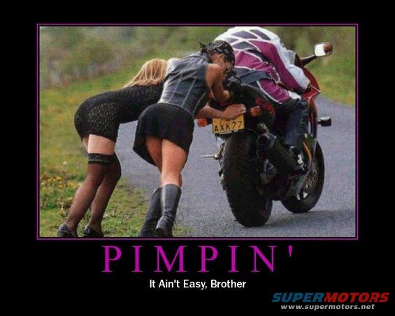 pimpin.jpg Pimpin'
