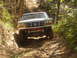 1989 Ford Bronco - A vehicle navigates a wooded path, its front grille and headlights visible.
