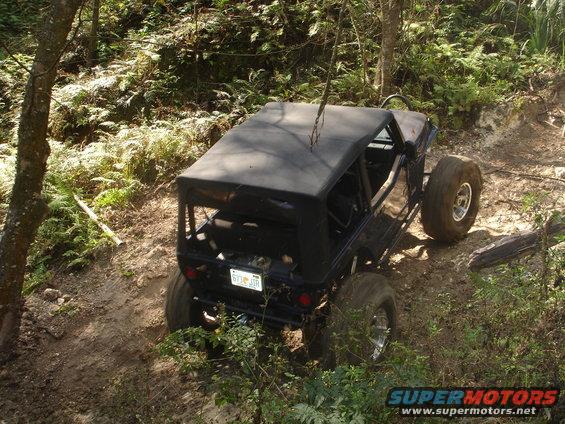 Black SUV from rear, driving on a dirt path with trees and foliage