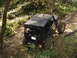 1989 Ford Bronco - A black SUV navigates a wooded dirt road.