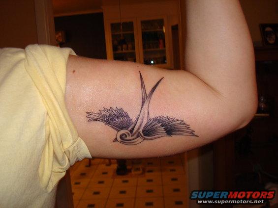 Tattoo of a swallow on someone's arm