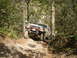 1989 Ford Bronco - A white 1989 Ford Bronco navigates a narrow, wooded trail with steep inclines.