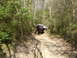 1989 Ford Bronco - Vehicle driving on a narrow, overgrown dirt path in a wooded area.