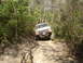 1989 Ford Bronco - This off-road vehicle navigates a challenging dirt trail surrounded by dense foliage.