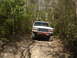 1989 Ford Bronco - White Ford Bronco navigating a wooded dirt trail.